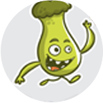 Usuario Flujo TV